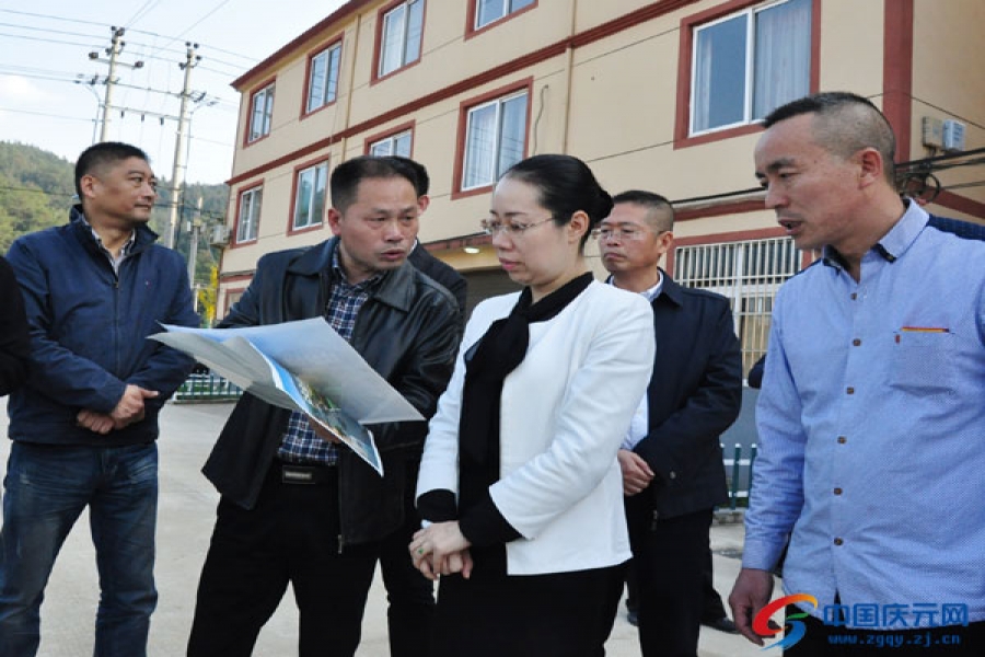 縣委書記藍伶俐走訪歐迪實業